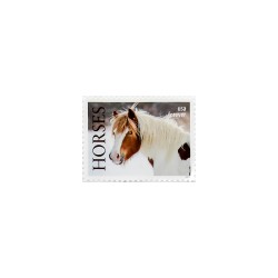 2024 US First-Class Forever Horses Stamps