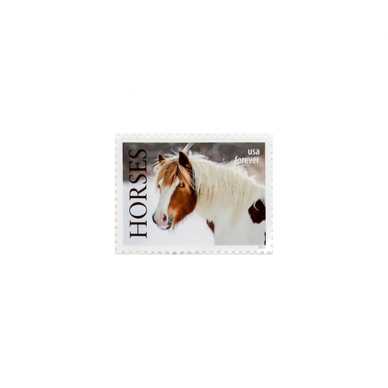 2024 US First-Class Forever Horses Stamps 2024 US First-Class Forever Horses Stamps