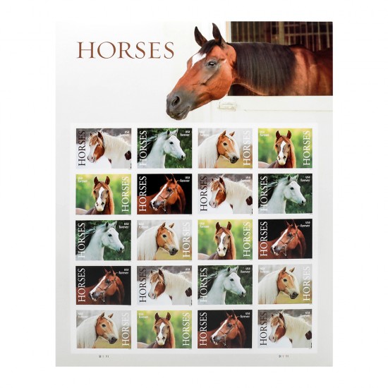2024 US First-Class Forever Horses Stamps 2024 US First-Class Forever Horses Stamps