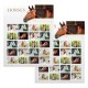 2024 US First-Class Forever Horses Stamps 2024 US First-Class Forever Horses Stamps