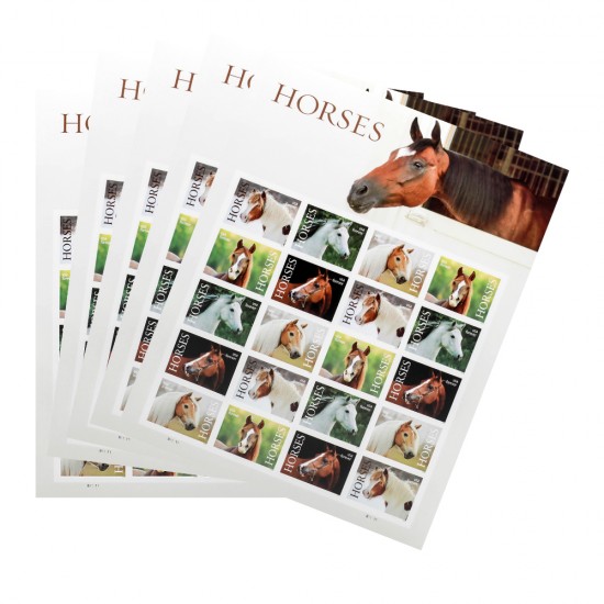2024 US First-Class Forever Horses Stamps 2024 US First-Class Forever Horses Stamps