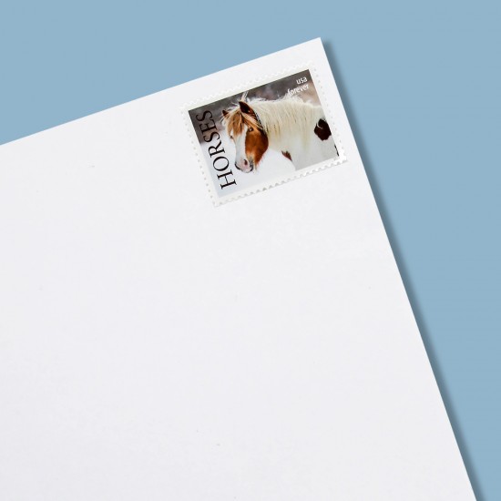 U.S.2024 Celebration Blooms Forever Stamp Sheets U.S.2024 Celebration Blooms Forever Stamp Sheets
