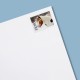 U.S.2024 Celebration Blooms Forever Stamp Sheets U.S.2024 Celebration Blooms Forever Stamp Sheets