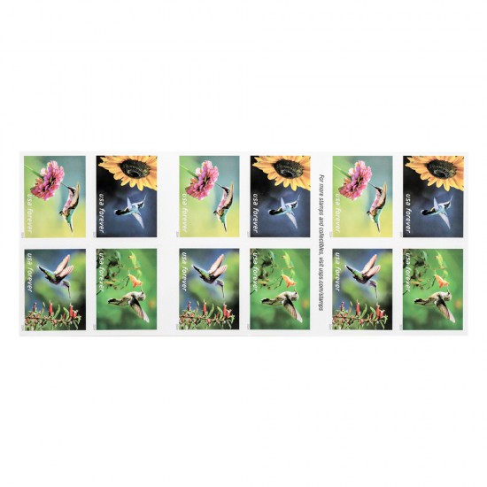 2024 U.S. Garden Delights First Class Forever Postage Stamp 2024 U.S. Garden Delights First Class Forever Postage Stamp