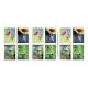 2024 U.S. Garden Delights First Class Forever Postage Stamp 2024 U.S. Garden Delights First Class Forever Postage Stamp