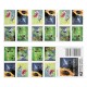 2024 U.S. Garden Delights First Class Forever Postage Stamp 2024 U.S. Garden Delights First Class Forever Postage Stamp