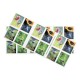 2024 U.S. Garden Delights First Class Forever Postage Stamp 2024 U.S. Garden Delights First Class Forever Postage Stamp