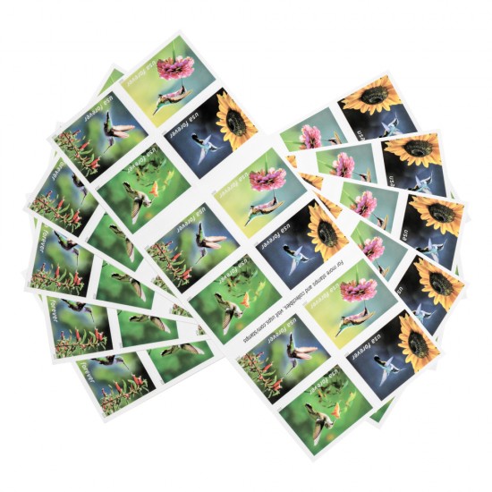 2024 U.S. Garden Delights First Class Forever Postage Stamp 2024 U.S. Garden Delights First Class Forever Postage Stamp