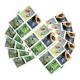 2024 U.S. Garden Delights First Class Forever Postage Stamp 2024 U.S. Garden Delights First Class Forever Postage Stamp