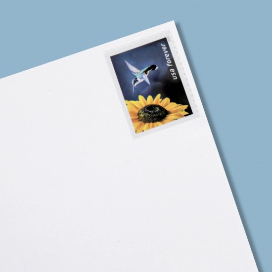 2024 U.S. Garden Delights First Class Forever Postage Stamp 2024 U.S. Garden Delights First Class Forever Postage Stamp