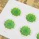 2017 USA Global Succulents Forever Stamps