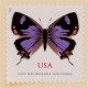 US 2021 Colorado Hairstreak Stamps Forever US 2021 Colorado Hairstreak Stamps Forever