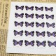 US 2021 Colorado Hairstreak Stamps Forever US 2021 Colorado Hairstreak Stamps Forever
